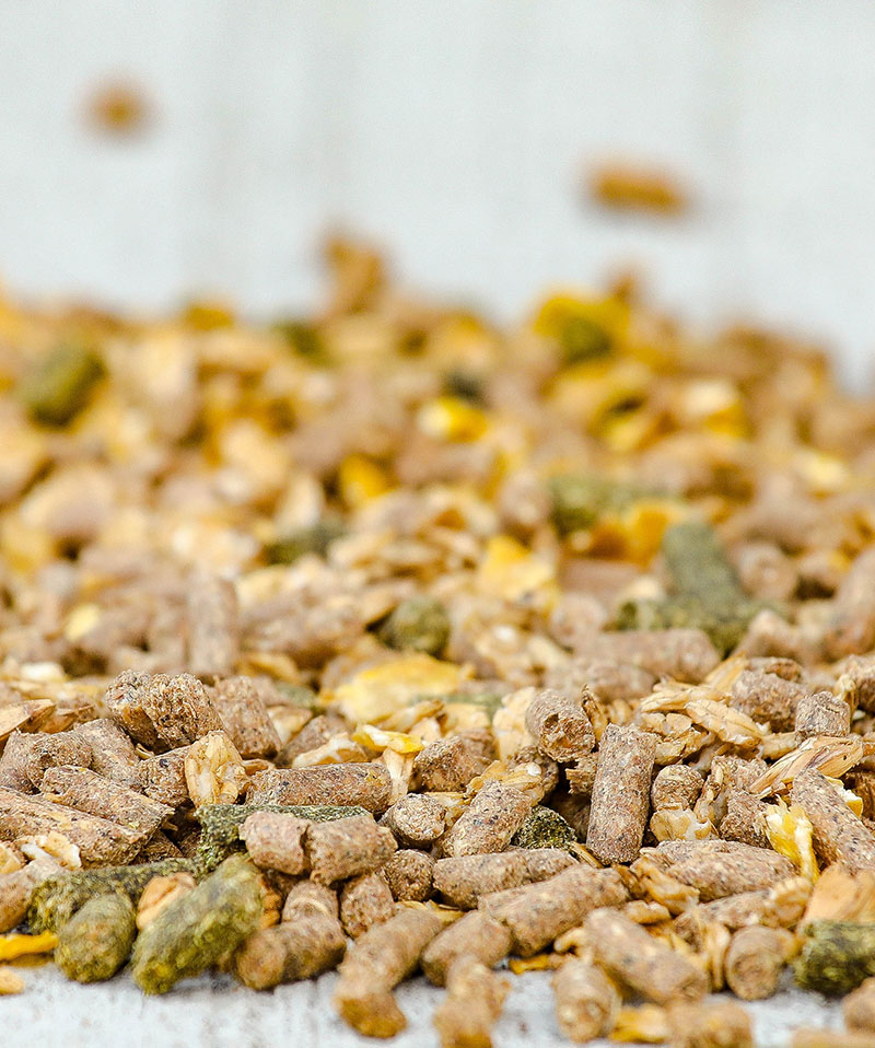 Cavalor tradition mix 20kg-photo produit