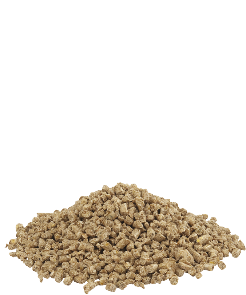 Countrys best gold 1 crumble 20kg-photo produit