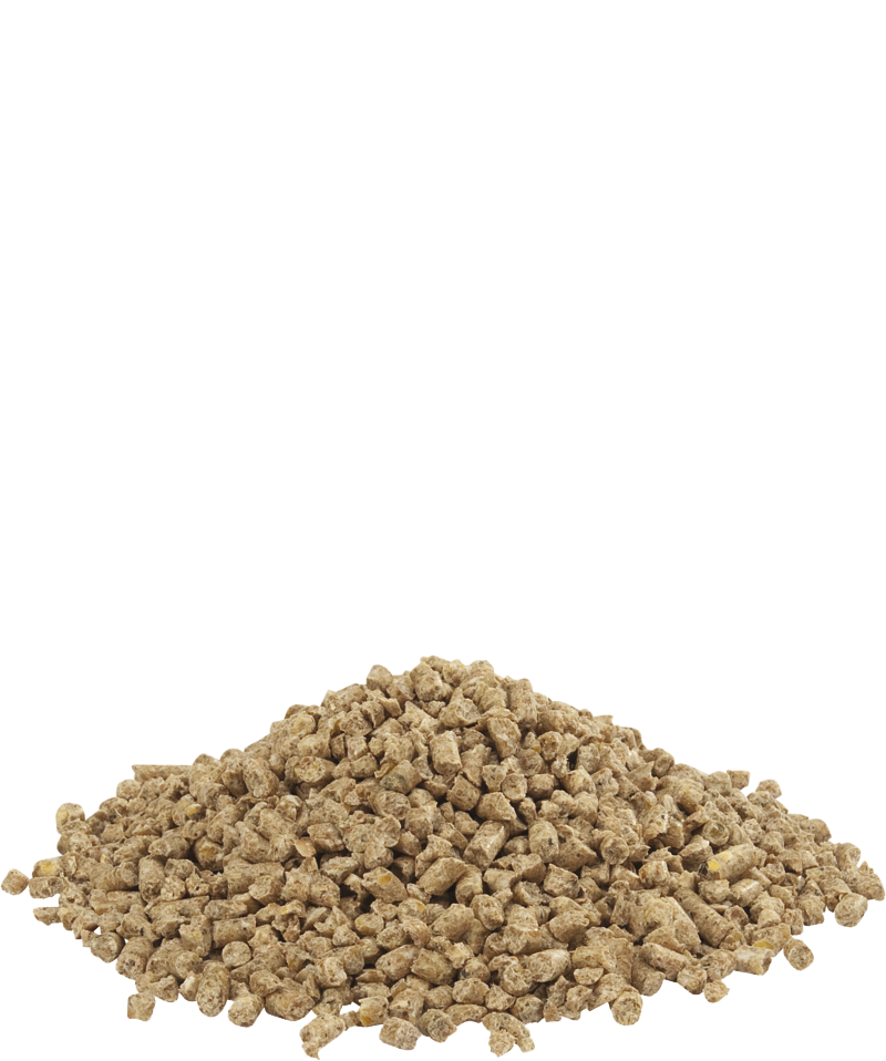 GOLD 1&amp;2 crumble-photo produit
