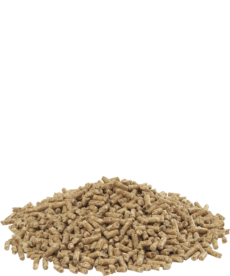 Show 2 pellet-photo produit