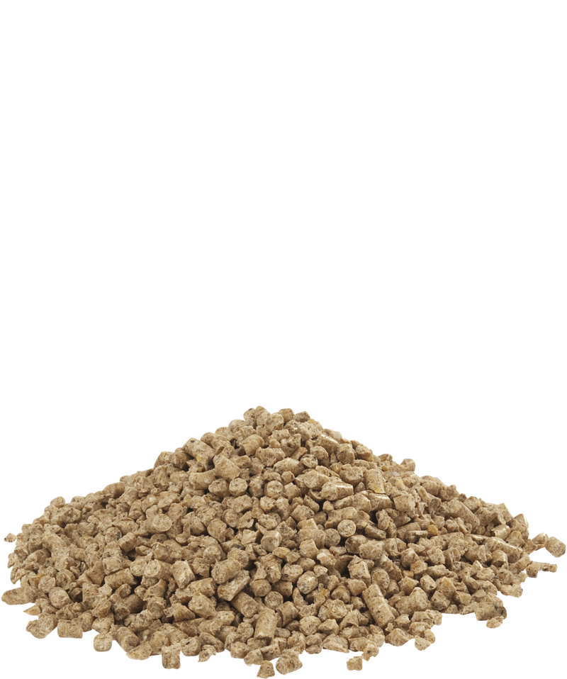 DUCK 1&amp;2 crumble-photo produit