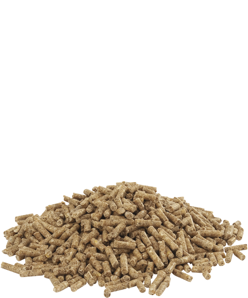 Duck 3 parasite control 20kg- photo produit