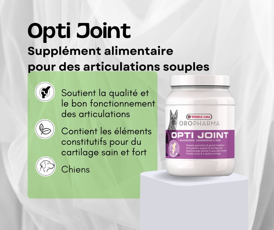 Opti joint-supplément alimentaire pour les articulations du chien