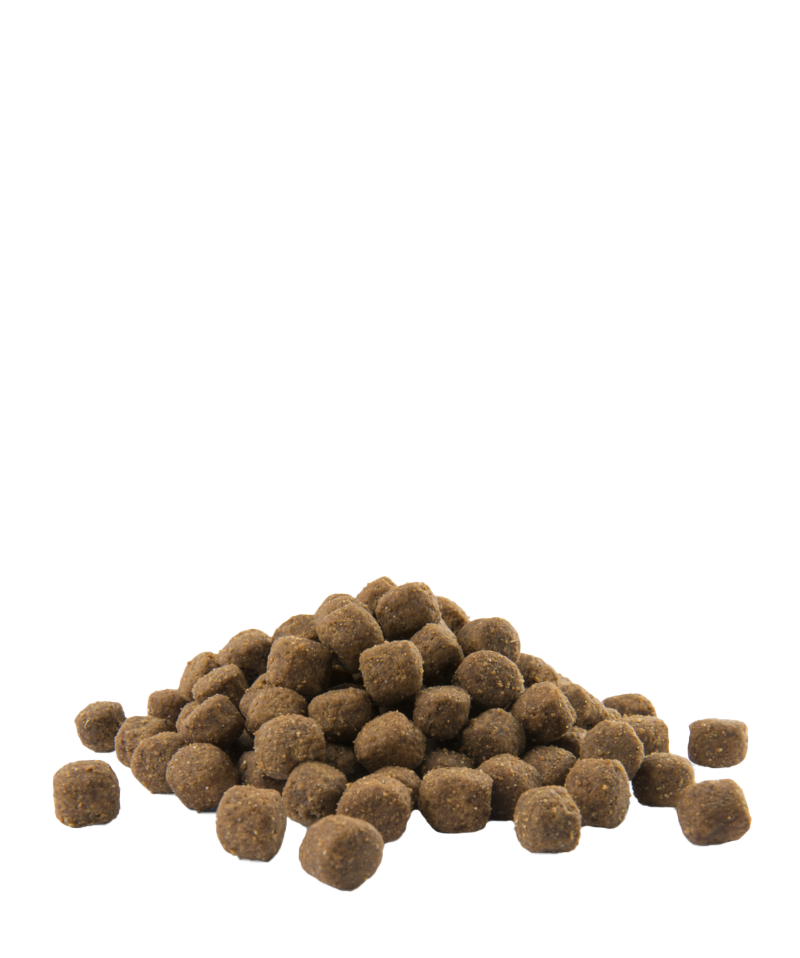 Opti life medium adult-photo croquettes