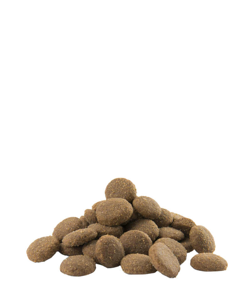 Opti life maxi adult-photo croquettes