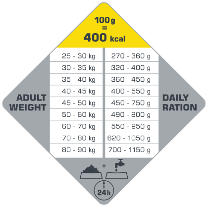 Opti life maxi adult-tableau ration