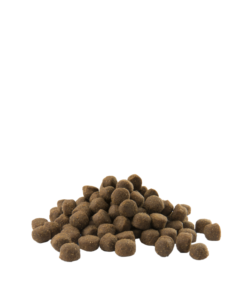 Opti life all breeds-photo croquettes