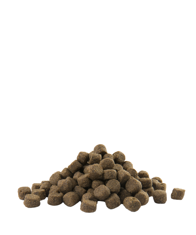 Opti life maxi medium adult sterilised light-photo croquettes