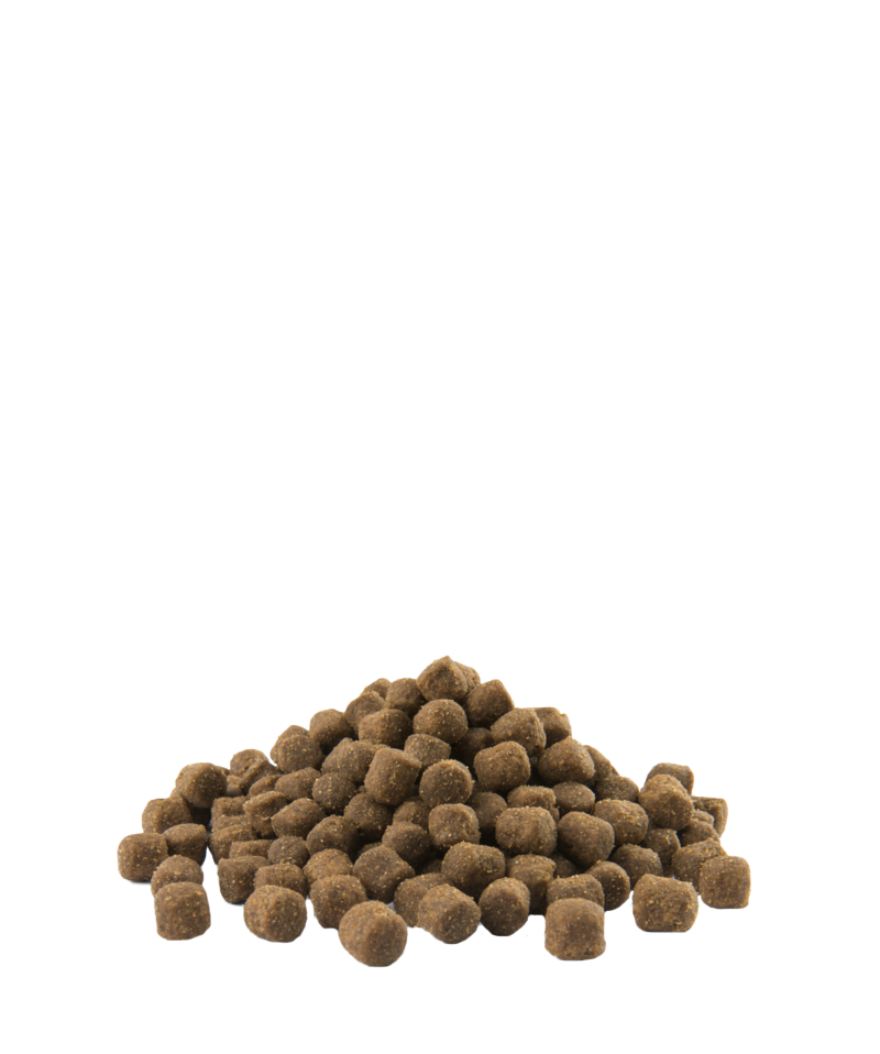Opti life mini adult-photo croquettes