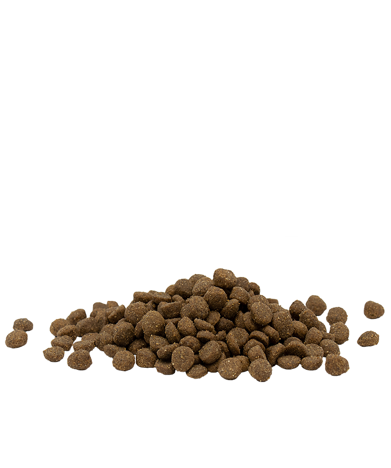 Opti life adult chicken-photo croquettes