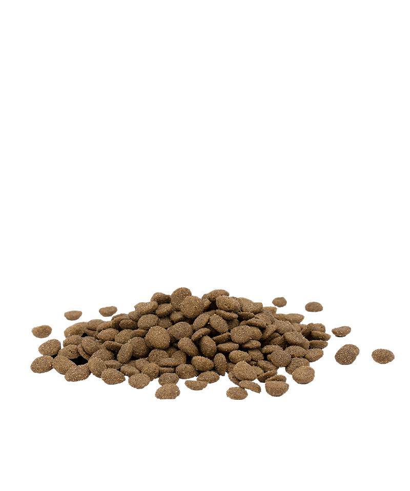 Opti life adult sterilised light-photo croquettes