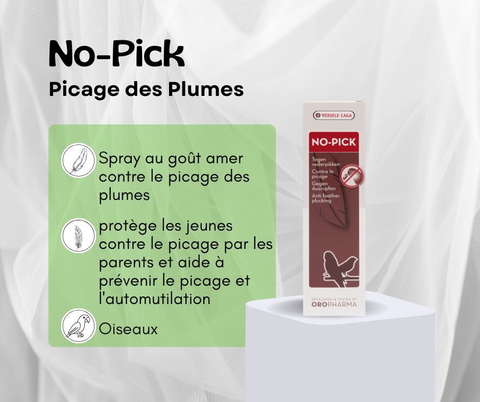 No pick-picage des plumes et automutilation chez les oiseaux.png