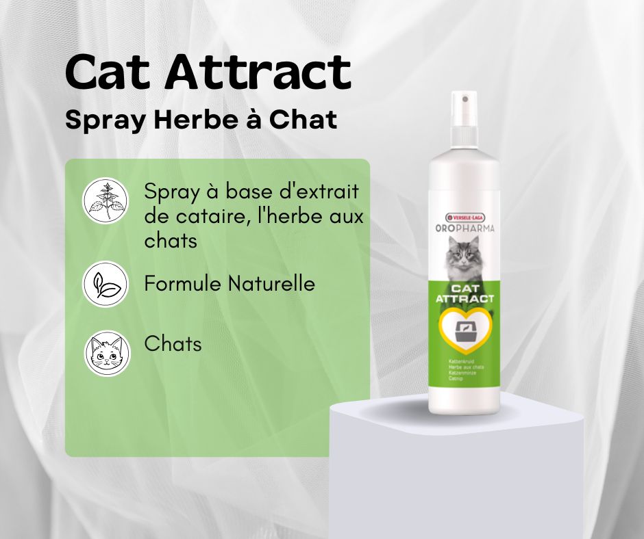 Cat attract-Oropharma-Spray à base dextrait de cataire, lherbe aux chats