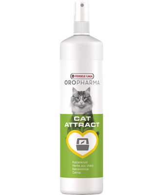 Cat attract-Spray à base dextrait de cataire, lherbe aux chats