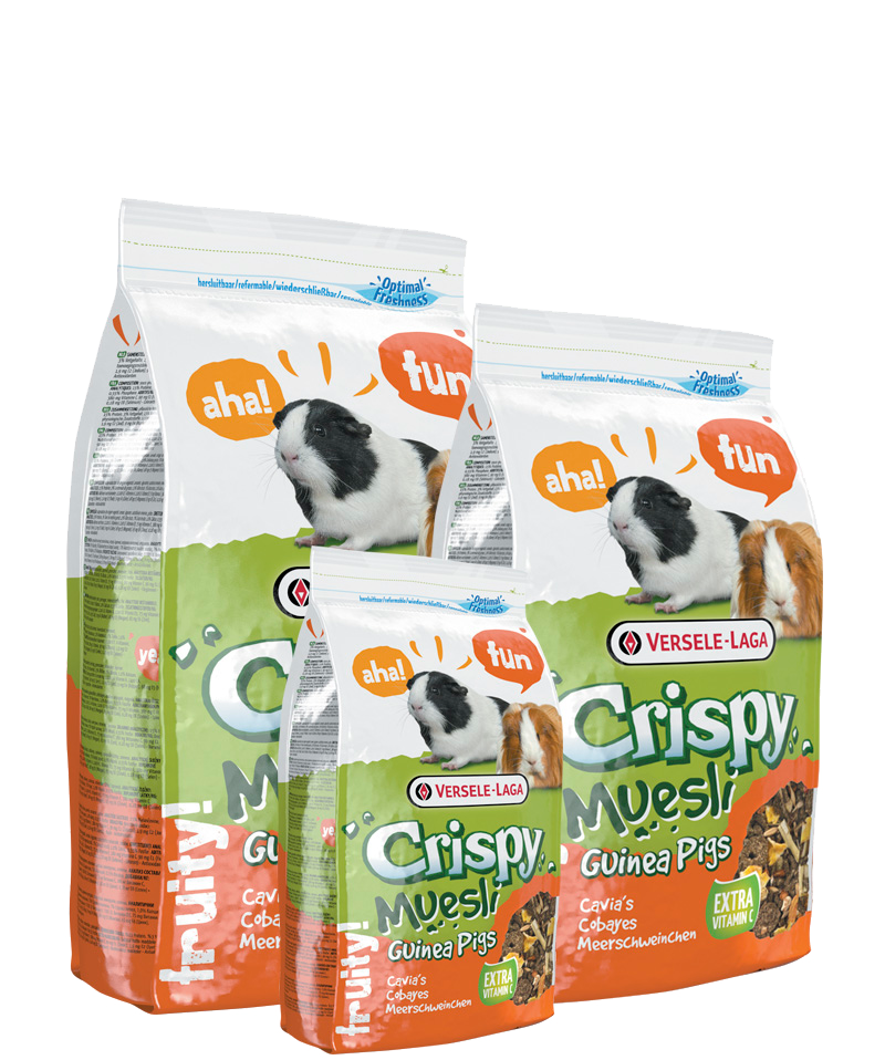 Crispy muesli guinea pigs-muesli pour cochon dindes