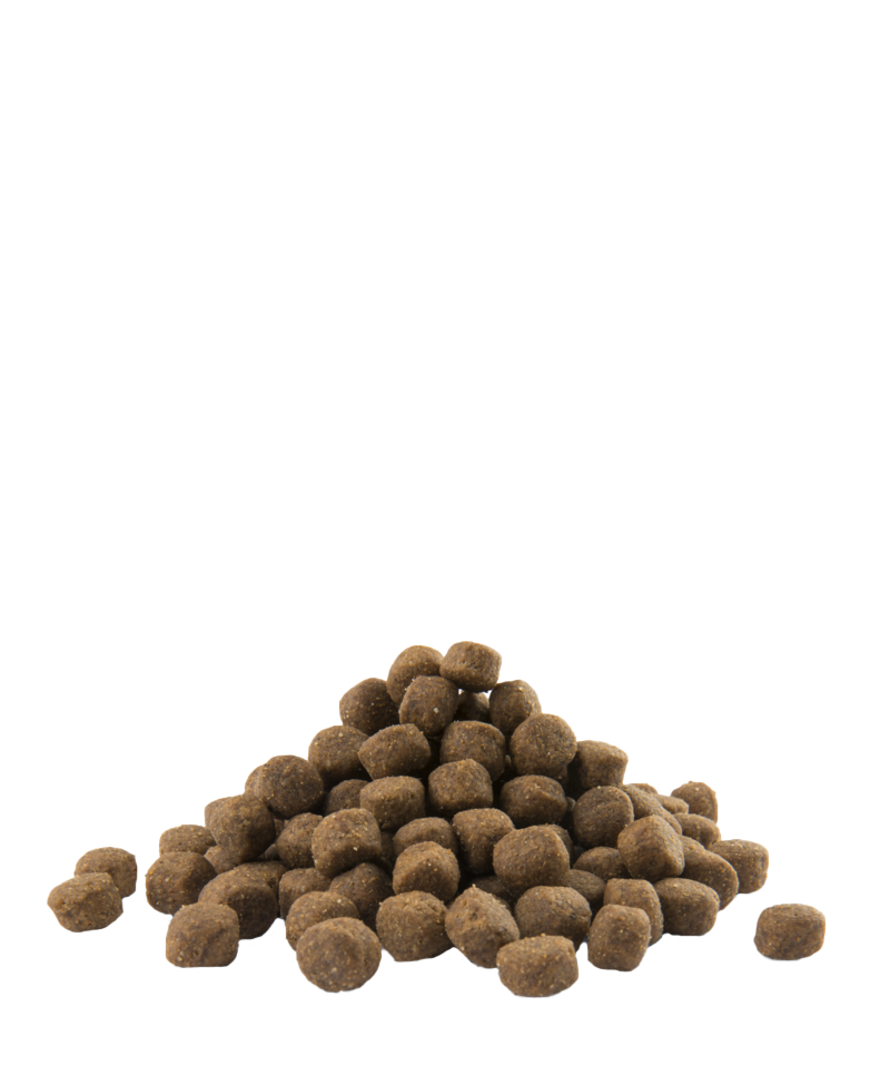 opti life chicken maxi puppy-photo croquettes