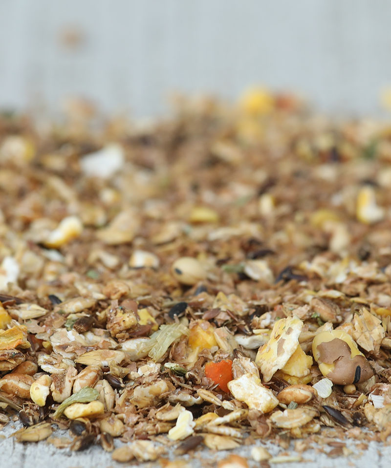 Cavalor Mash &amp; Mix 1.5kg-photo produits