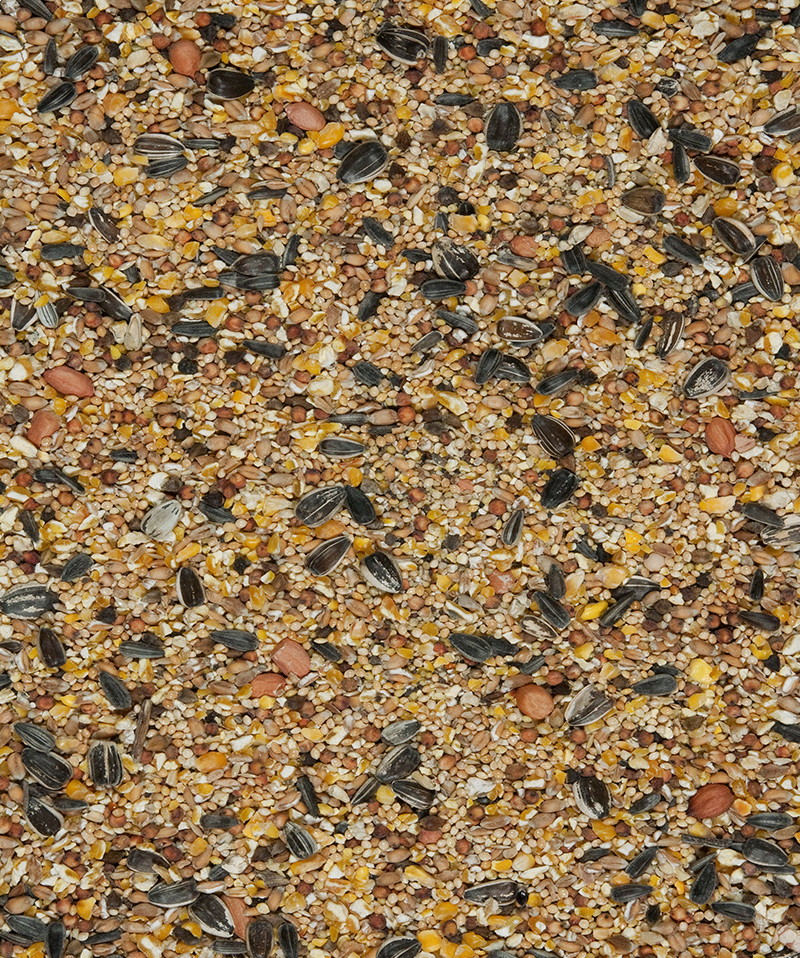 4 Seasons blend-photo produit