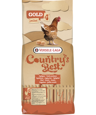 Gold 4 pellet-granulés de ponte pour poules pondeuses