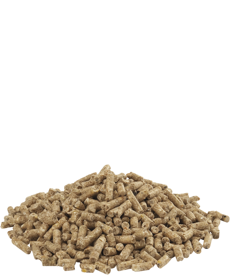 Gold 4 pellet-photo produit