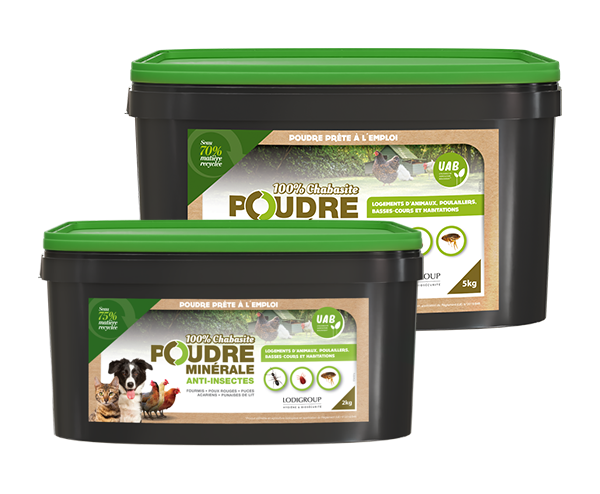 poudre minerale chabasite anti insectes