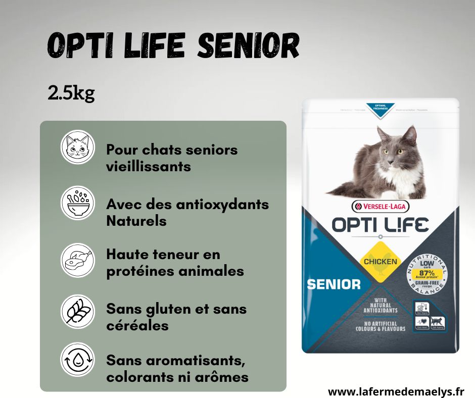 opti life senior chat
