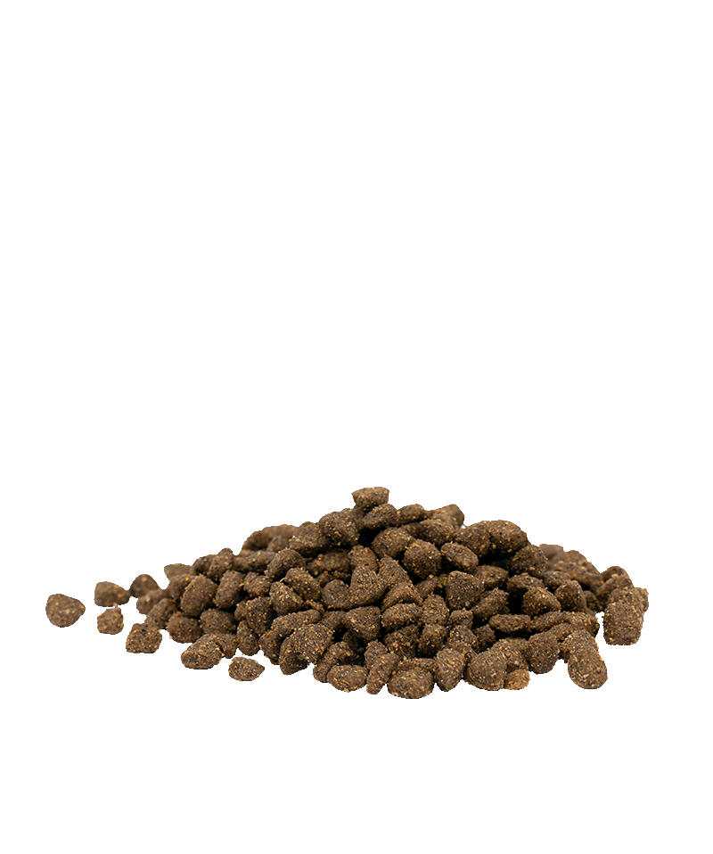 Opti life chicken senior chat-croquettes