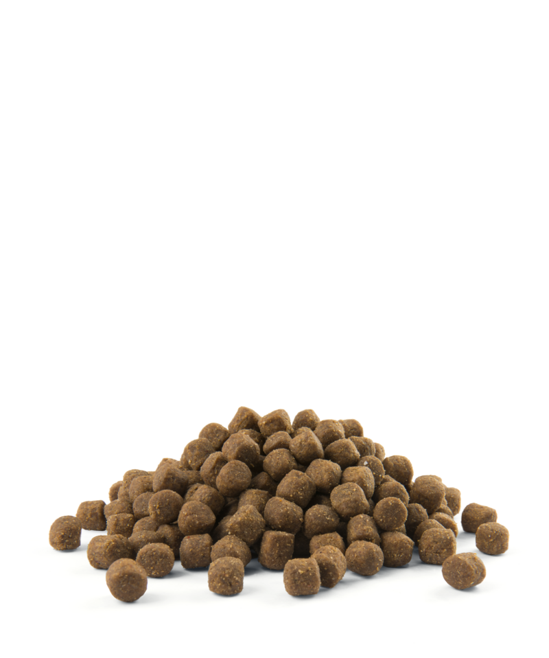Opti life puppy digestion all breeds-croquettes