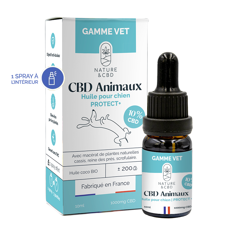 huile cbd 10% chien protect+