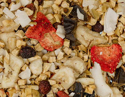 Mélange de fruits pour BARF ou rations ménagères pour chiens