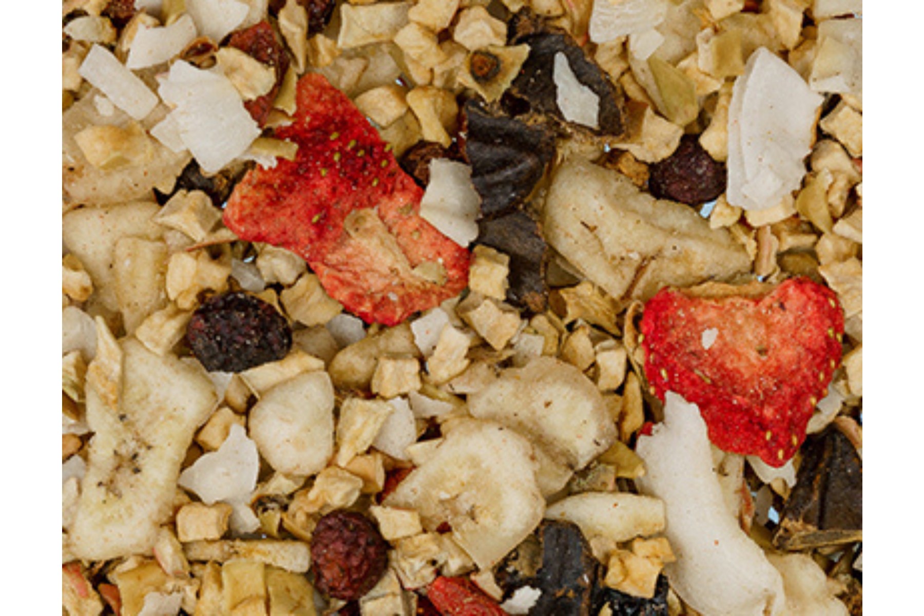 Mélange de fruits pour BARF ou rations ménagères pour chiens