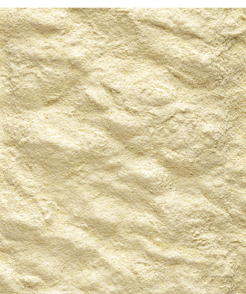Nutribird A19-Aliment délevage à la main pour aras, gris du Gabon, éclectus et autres oisillons ayant des besoins énergétiques élevés