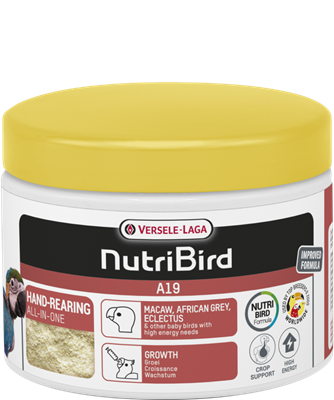 Nutribird A19 250g-Aliment d'élevage à la main pour aras, gris du Gabon, éclectus et autres oisillons ayant des besoins énergétiques élevés