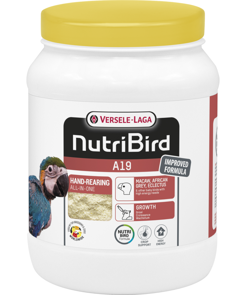 Nutribird A19 800g-Aliment délevage à la main pour aras, gris du Gabon, éclectus et autres oisillons ayant des besoins énergétiques élevés