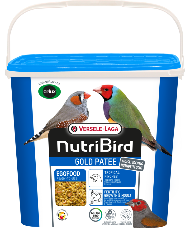 Gold pâtée oiseaux exotiques 5kg-Pâtée humide aux oeufs pour oiseaux