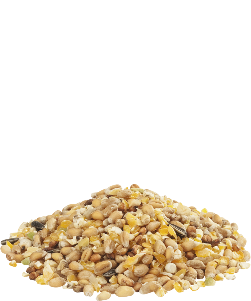 GRA-MIX Mélange pour poules dArdennes
