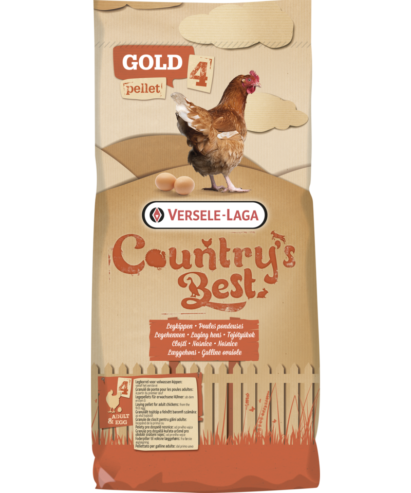 Gold 4 gallico pellet-granulés de ponte pour poules