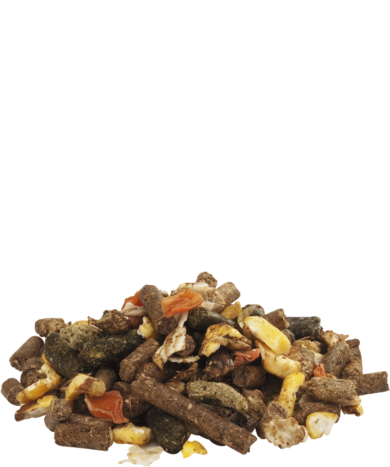 Pet pig muesli-alimentation cochon nain-photo produit