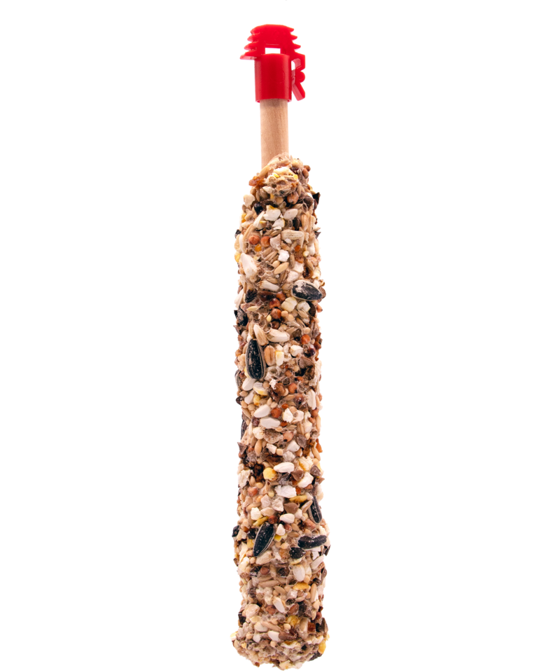 Prestige Sticks Grandes Perruches avec Noix &amp; Garniture de Raisins-photo produit