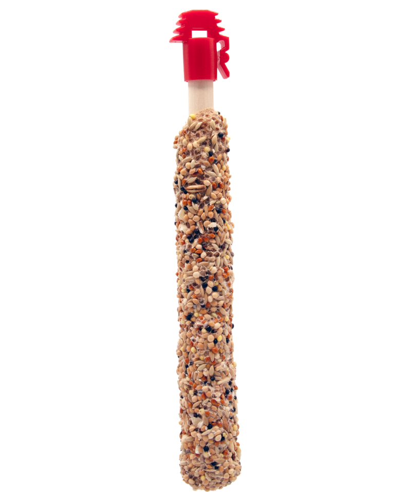 Prestige Sticks Petits Perroquets avec Noix &amp; Garniture de Raisins-photo produits