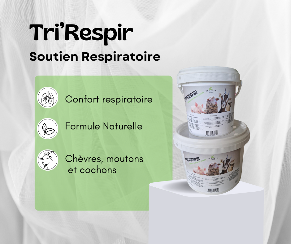 triRespir-toux eternuement respiratoire chèvre mouton et cochon
