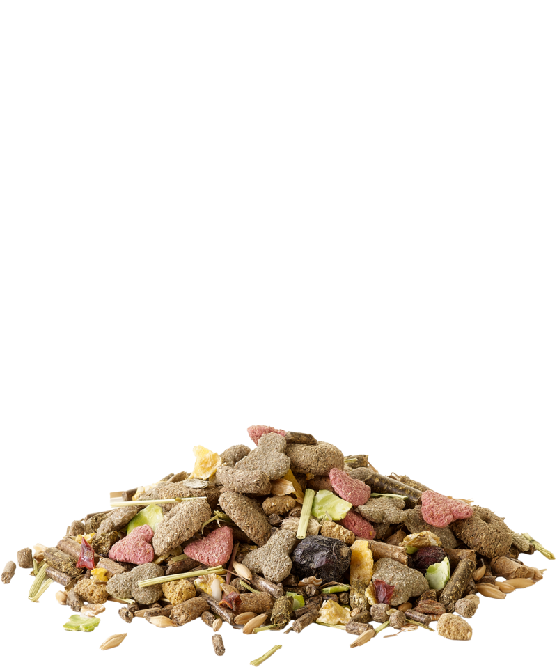 Crispy muesli guinea pig-mélange varié pour cochons dinde