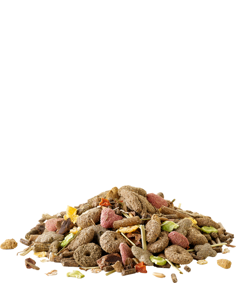 Crispy muesli rabbit-mélange varié pour lapins