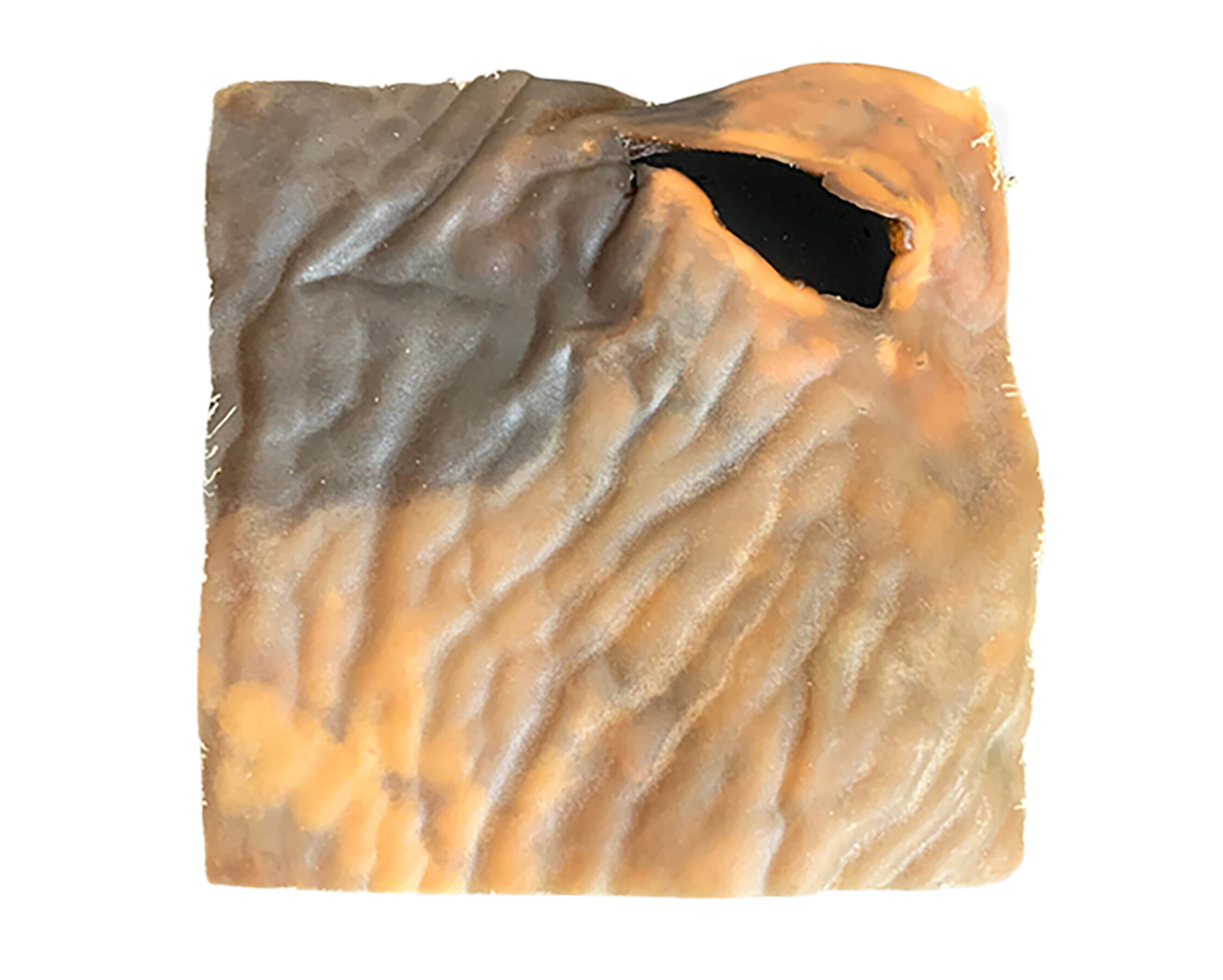 Plaque de peau de chameau-friandise naturelle pour chiens