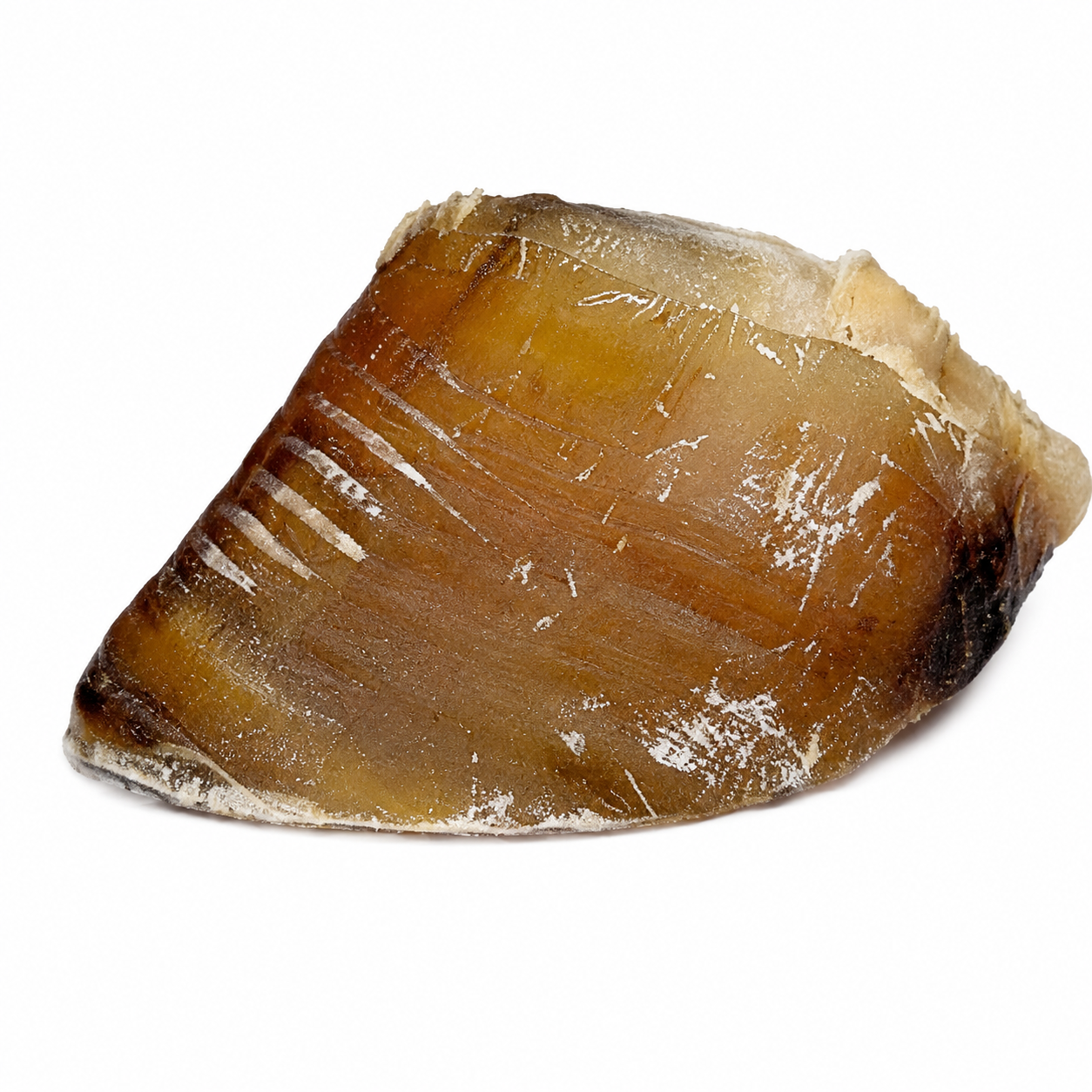 Sabot de boeuf-friandises naturelles pour chiens