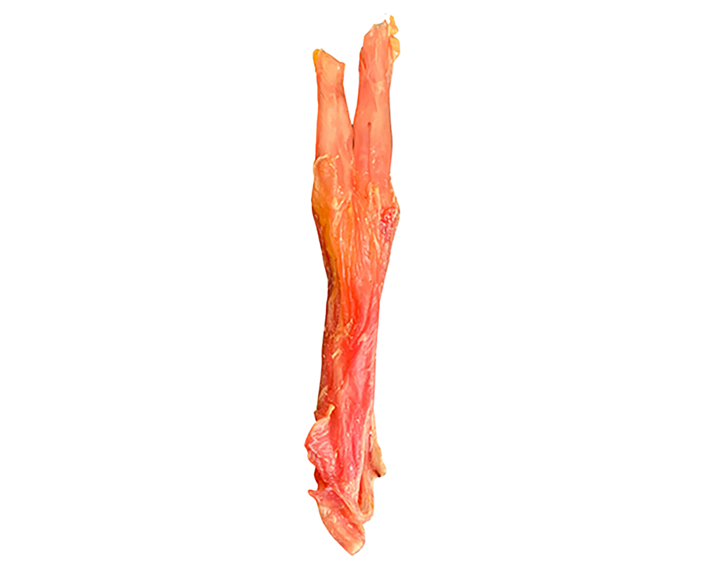 Tendon d’Achille de bœuf 30cm-friandises naturelles pour chiens