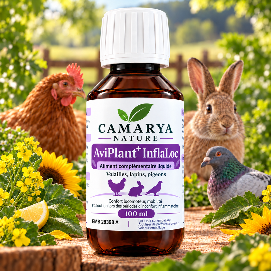 AviPlant+ InflaLoc mobilité et soutien inflammatire poule lapin pigeon site