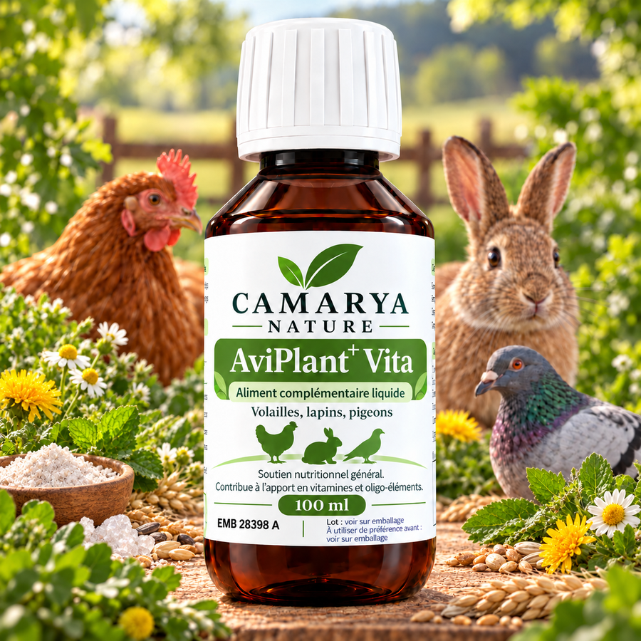 AviPlant+ Vita vitamines immunité oligo-éléments poule lapin pigeon site