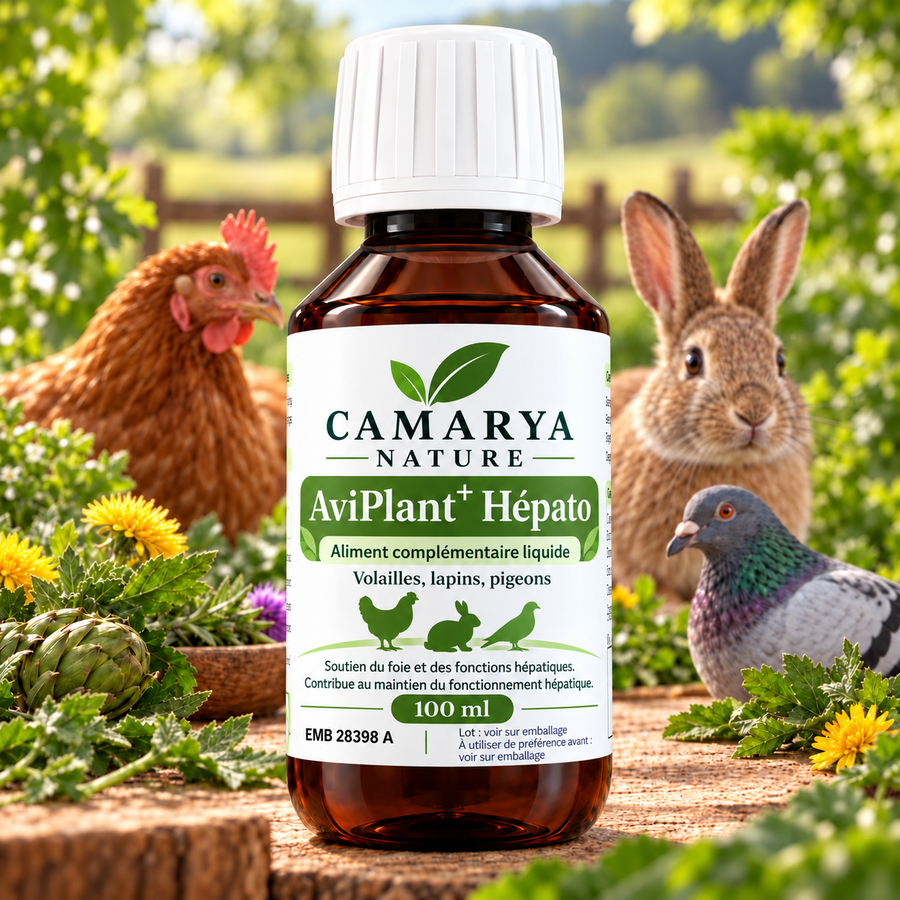 AviPlant+ Hepato detox foie soutien hépatique poule lapin pigeon site