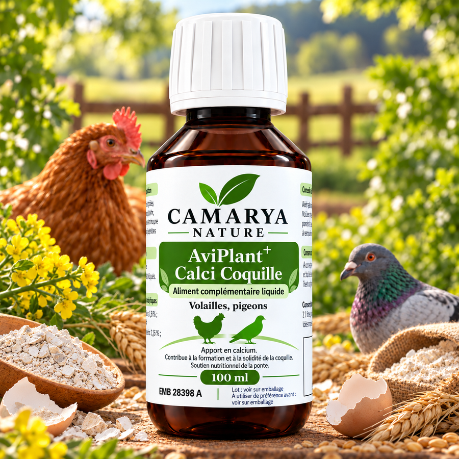 AviPlant+ Calci Coquille calcium solidité coquille ponte poule pigeon site